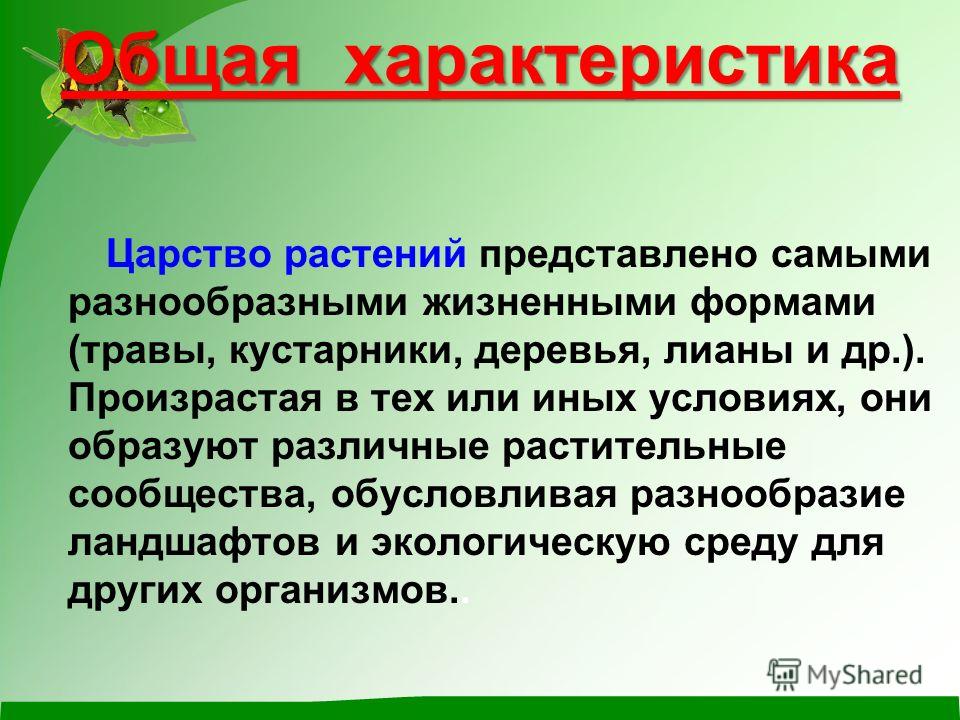 Общая характеристика царства растений. Общая характеристика растений. Основные характеристики растений. Основная характеристика растений.