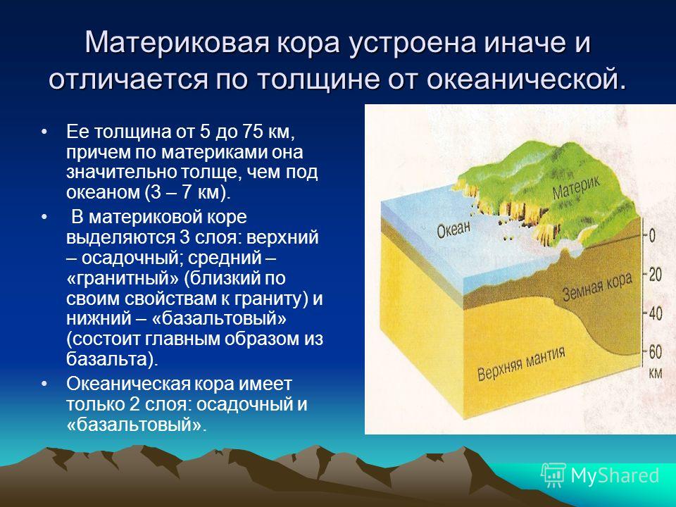 Чертеж изображающий земную поверхность называют ответ