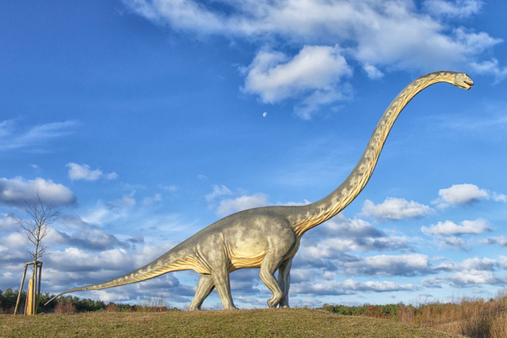 Динозав. Маменчизавр Диплодок Брахиозавр. Брахиозавр и Диплодок. Зауропод Маменчизавр. Диплодок Аргентинозавр.