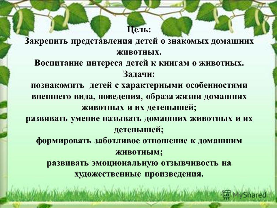 Закрепление представлений. Домашние животные цели и задачи. Тема домашние животные цели и задачи. Цель темы домашние животные. Цели задачи о домашних животных.